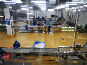 多圖首發(fā)！解密水產(chǎn)智能化工廠與文化館，探索未來水產(chǎn)新生態(tài)